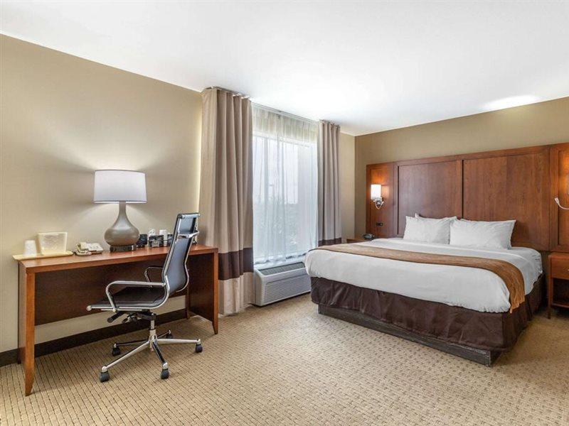 Comfort - Austin North Pflugerville